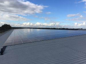 solar energy Chippindale Foods