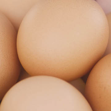 https://www.chippindalefoods.co.uk/wp-content/uploads/2017/05/eggs-.jpg
